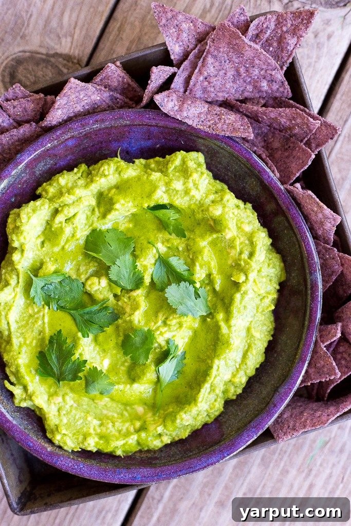 55 Refreshing & Healthy Summer Sides 40 Chimichurri Guacamole, a vibrant and herbaceous fusion dip