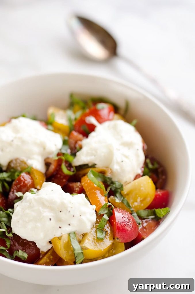 Fast & Fresh 30 No-Cook Meals 20 Fresh-Tomato-Basil-Burrata-Salad-The-Creative-Bite-1-copy