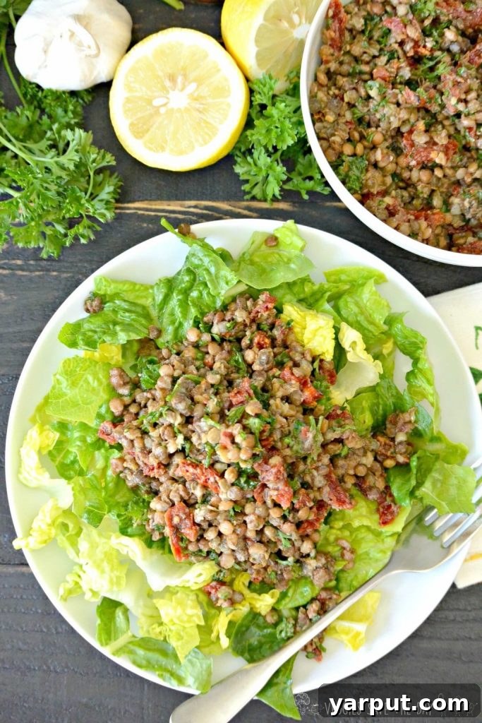Fast & Fresh 30 No-Cook Meals 27 Lentil-Sundried-Tomato-Parsley-Salad