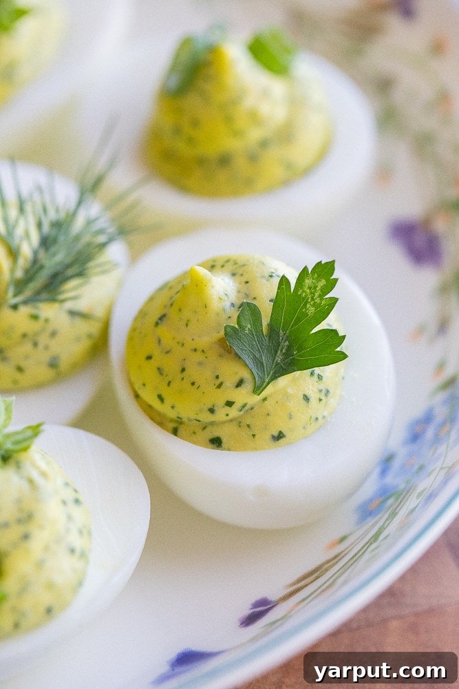 Herbal Ambrosia Deviled Eggs 6 A close-up shot of a single Green Goddess Deviled Egg, perfectly piped and garnished with a sprinkle of fresh chives, highlighting its appetizing texture and vibrant color.