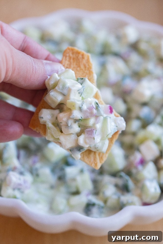 Chunky Tzatziki Cucumber Salad Recipe with Fresh Dill and Garlic 7 close up of creamy cucumber dip on a pita chip