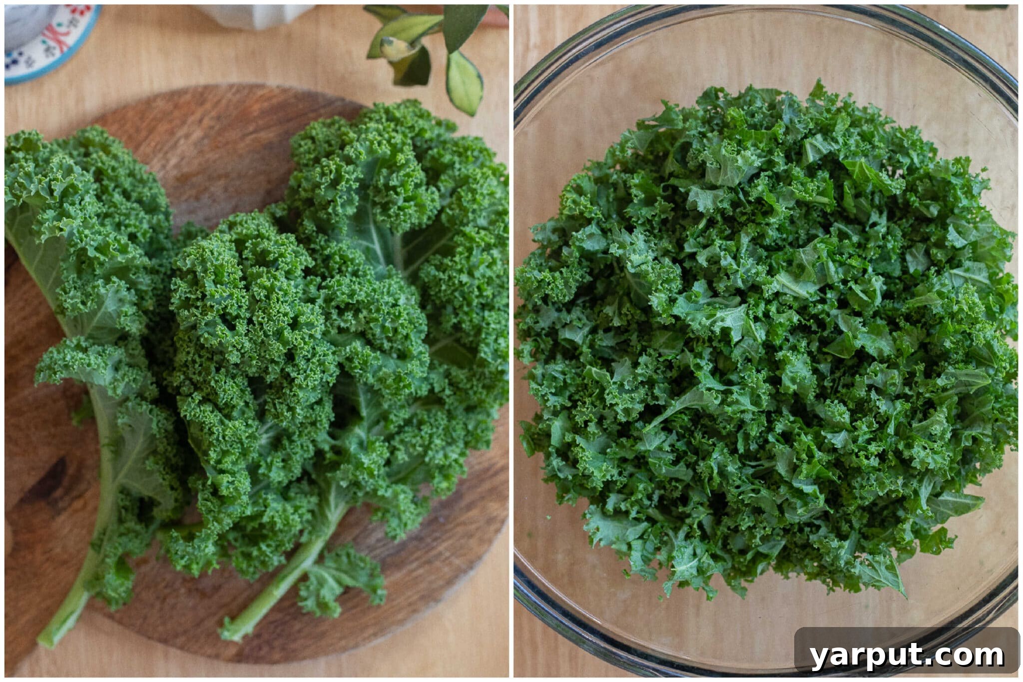 Curly kale leaves chopped up and put into a bowl