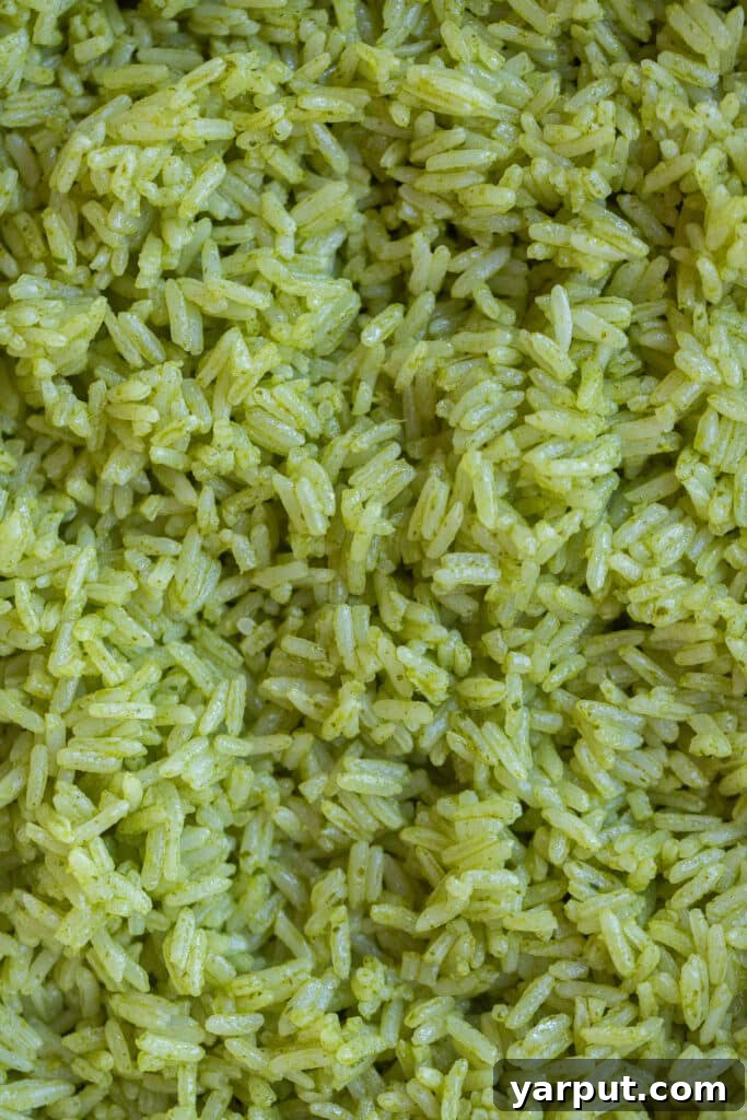 close up of green rice