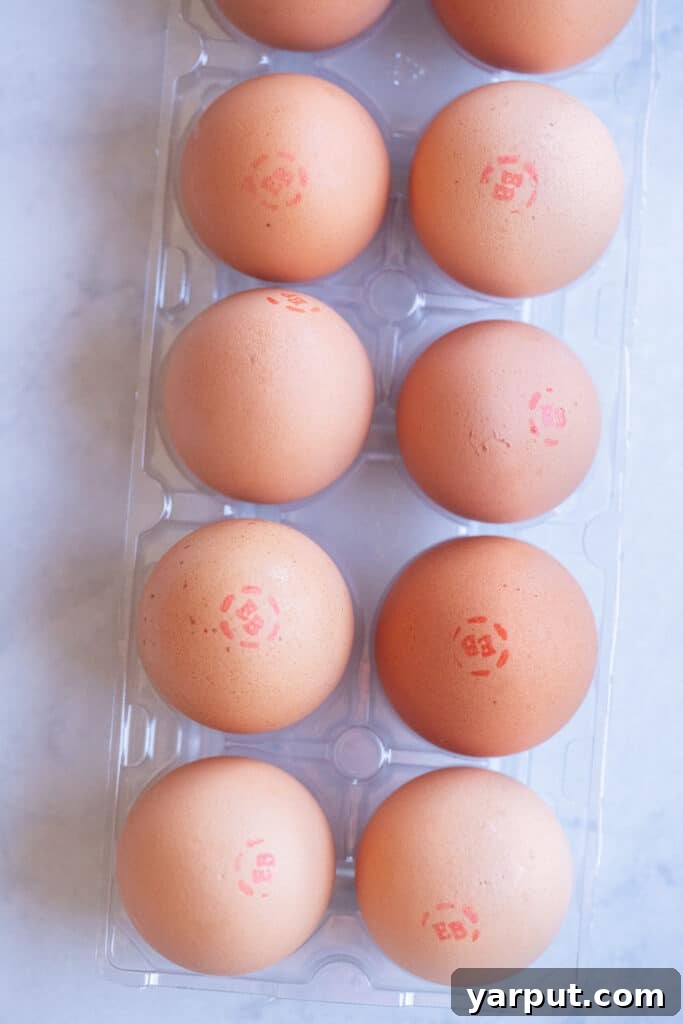 one dozen eggs in a container