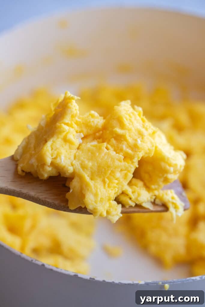 fluffy chunks of scrambled eggs on a spatula