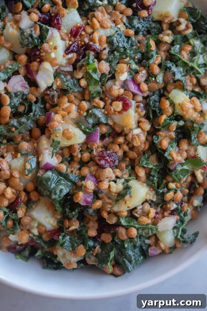 Hearty Lentil Potato and Kale Salad with Lemon Vinaigrette 7 Close up of kale and lentil salad